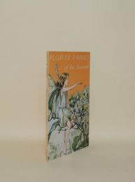 Flower Fairies of the Summer