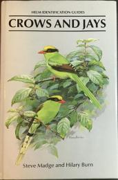 Crows and jays : a guide to the crows, jays and magpies of the world