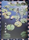 浄土真宗雑学 道しるべ