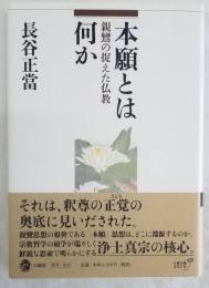 本願とは何か　親鸞の捉えた仏教