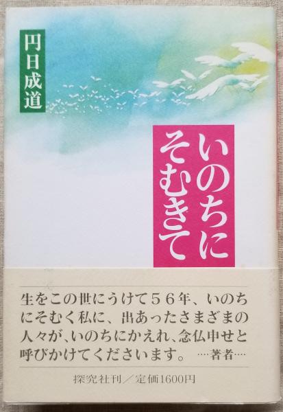 Asano 全天候硬式テニスネット(上部二重網)(AK22228) 継手・ジョイント AK22228