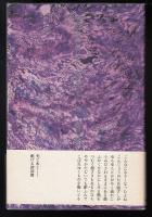 夜明け前に斜めから陽が射している