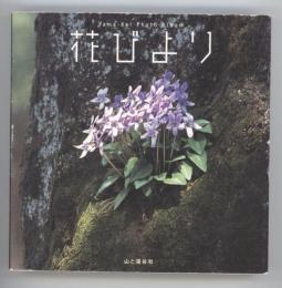 花びより　Yama-Kei Photo Album