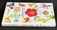 花の顔 : 実を結ぶための知恵