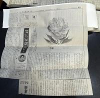 刑事たちの夏（新聞小説切り抜き完揃）