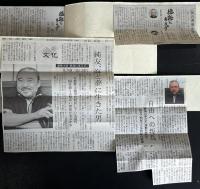 絶海にあらず（新聞小説切り抜き完揃）