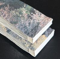饗宴（新聞小説切り抜き完揃）