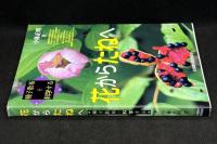 花からたねへ : 種子散布を科学する