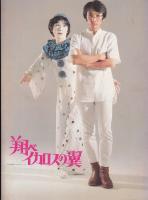 翔べイカロスの翼（シナリオ）