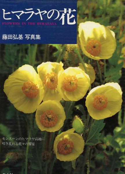 藤田弘基 ヒマラヤの花 ヒマラヤの花 : 藤田弘基写真集(藤田弘基 著) / 古本、中古本