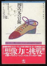 四次元の冒険　幾何学・宇宙・想像力