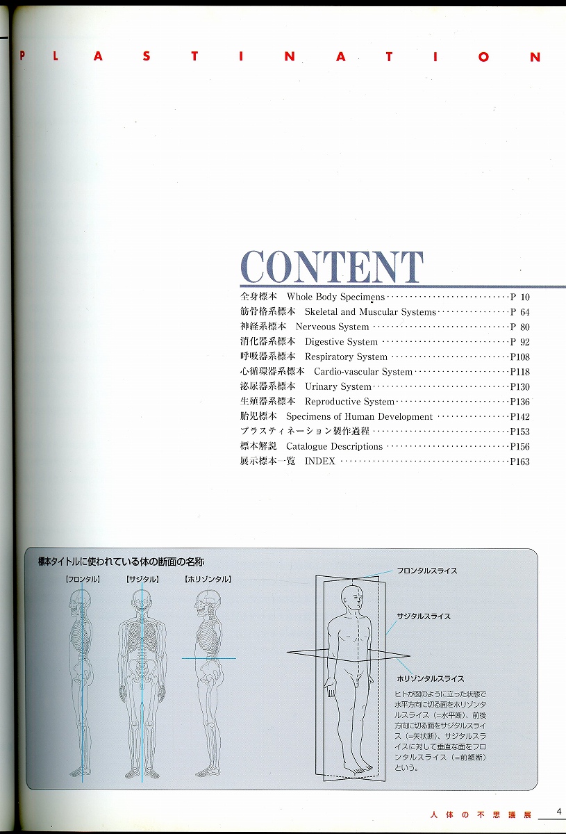 人体の不思議展 2 人体の不思議展2｜Yahoo!フリマ（旧PayPayフリマ）
