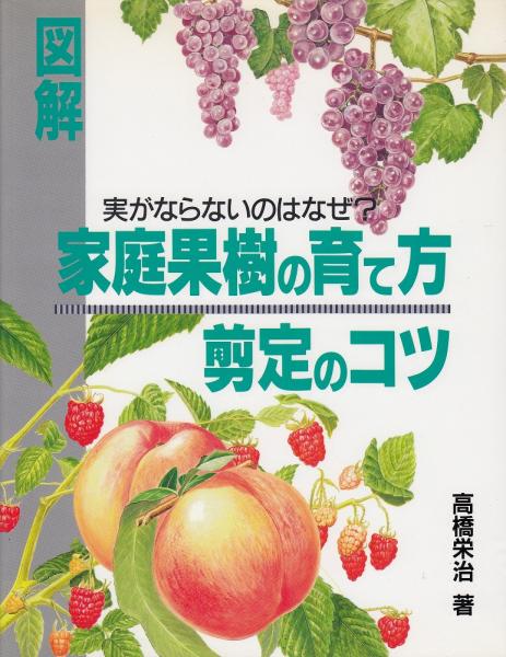 図解 家庭果樹の育て方 剪定のコツ 実がならないのはなぜ 高橋栄治 著 あしび文庫 古本 中古本 古書籍の通販は 日本の古本屋 日本の古本屋