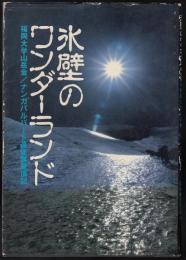 氷壁のワンダーランド : 福岡大学山岳会ナンガ・パルバート遠征隊登頂記