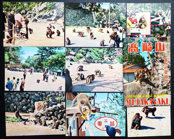 0021778 田中正造全集 全20巻(全19＋別巻) 昭52-5 全月報付