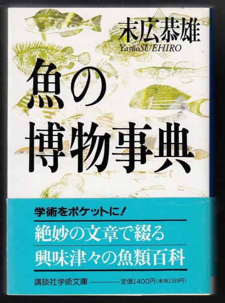 ポタラ宮の秘宝 チベット /アジア文化交流協会/田中公明（単行本）
