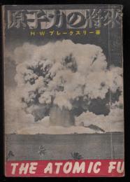 原子力の将来