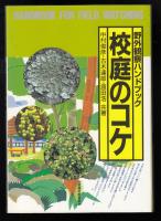 校庭のコケ