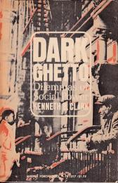 Dark ghetto : dilemmas of social power