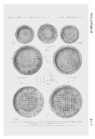 近代陶瓷文獻匯編　全25冊（民國文獻資料叢編）