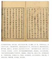 	
暴証知要.血症全集.雑症要略.肺病問答-新刊海外蔵中医古籍伝世珍本.臨床巻