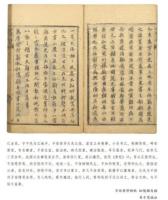 	
暴証知要.血症全集.雑症要略.肺病問答-新刊海外蔵中医古籍伝世珍本.臨床巻