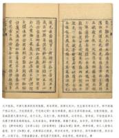 太医院増補捷法医林統要外科方論大全.外科秘方.外科経效秘方.医説仏乘.外科集要-新刊海外蔵中医古籍伝世珍本.臨床巻