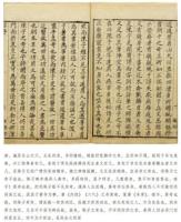 本草新編.食物宜忌.秘伝音制本草大成葯性賦-新刊海外蔵中医古籍伝世珍本.本草巻