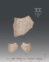 河南蔵甲骨集成　新郷市博物館巻（全3冊）