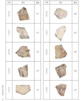 河南蔵甲骨集成　新郷市博物館巻（全3冊）