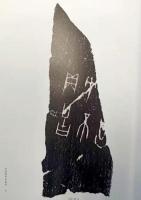 河南所蔵甲骨集成　開封市博物館巻