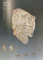 河南所蔵甲骨集成　開封市博物館巻