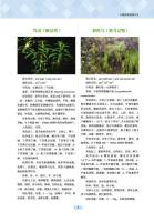 中国侗薬図譜大全（中国侗医薬叢書）