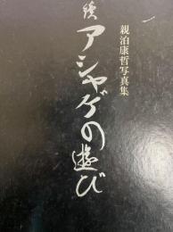 続アシャゲの遊び　親泊康哲写真集