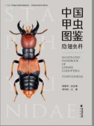 中国甲虫図鑑 隠翅虫科　
