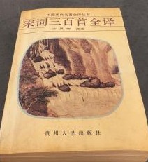 宋詞三百首全訳