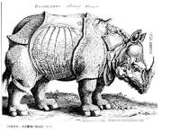 ヨンストン『動物図説』図版集成