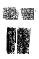 山東新出土漢碑石五種