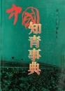 中國知青事典