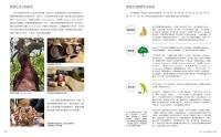 台湾橡実家族図鑑　45種殼斗科植物完整写真