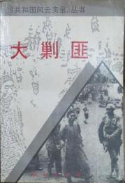 大剿匪