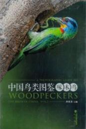 中国鳥類図鑑　啄木鳥