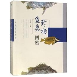 珍稀魚類圖鑑/大連自然博物館館藏精品系列