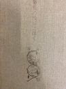 葡萄の枝にとほく 秦美穂歌集