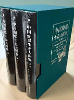 中国蝴蝶生態大図鑑（全3冊）