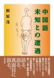 中国語 未知との遭遇