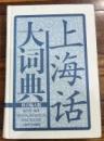 上海話大詞典　拼音輸入版（附ＣＤ）