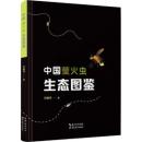 中国蛍火虫生態図鑑