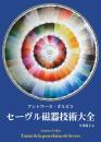 セーヴル磁器技術大全