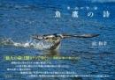 里山の宇宙　魚鷹の詩